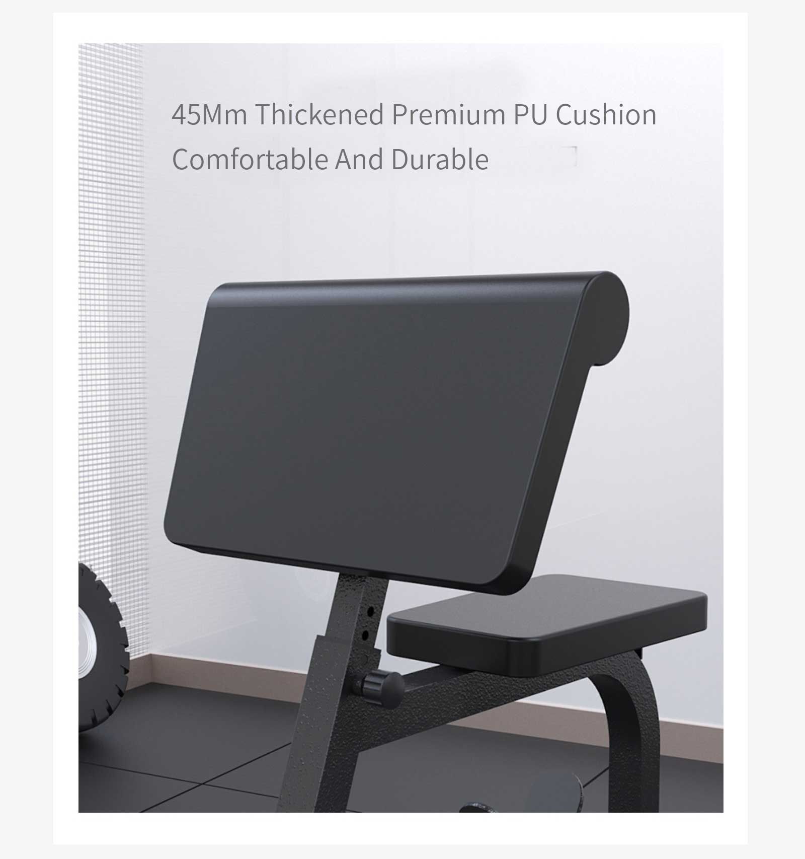 Estante de entrenamiento de bíceps multifuncional Estante de entrenamiento de bíceps multifuncional