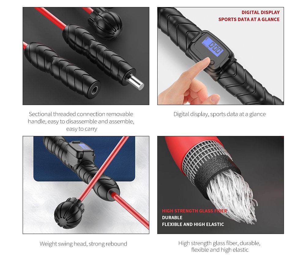 Phyllis barra Phyllis barra