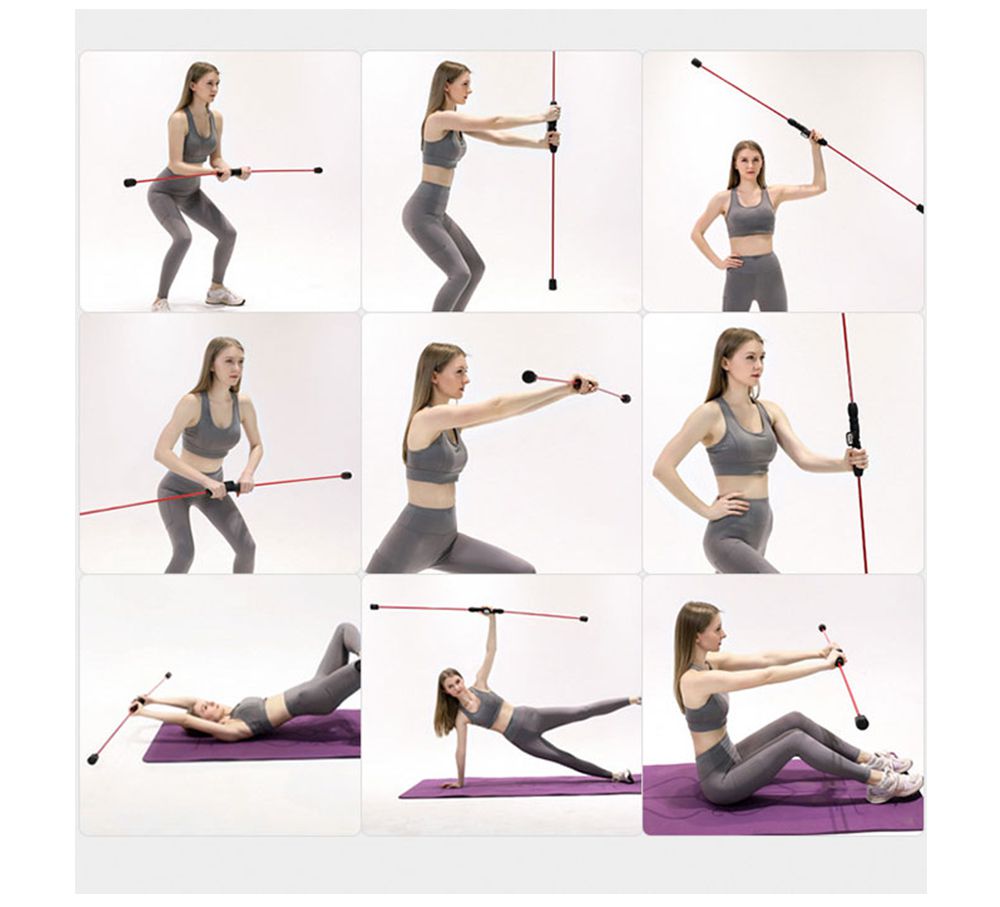 Phyllis barra Phyllis barra