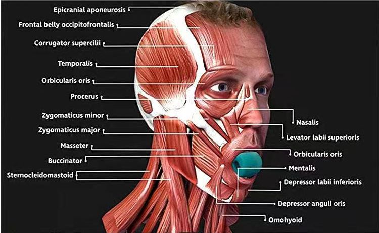 Mejorar la felicidad índice-jewline entrenador fabricante y elegirnos Mejorar la felicidad índice-jewline entrenador fabricante y elegirnos