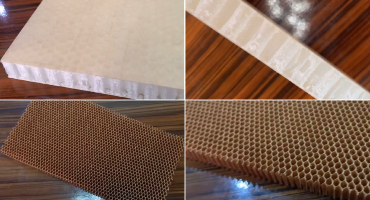 Pickleball and Paddle: Guía definitiva Pickleball and Paddle: Guía definitiva