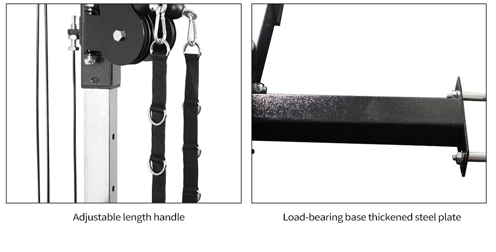 Dispositivo de entrenamiento integral de pájaros voladores de paredes multifuncionales