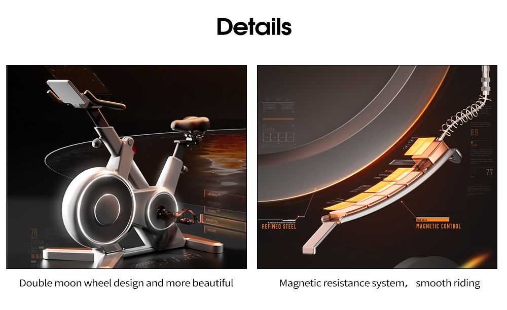 Bicicleta giratoria de control magnético completamente cerrado