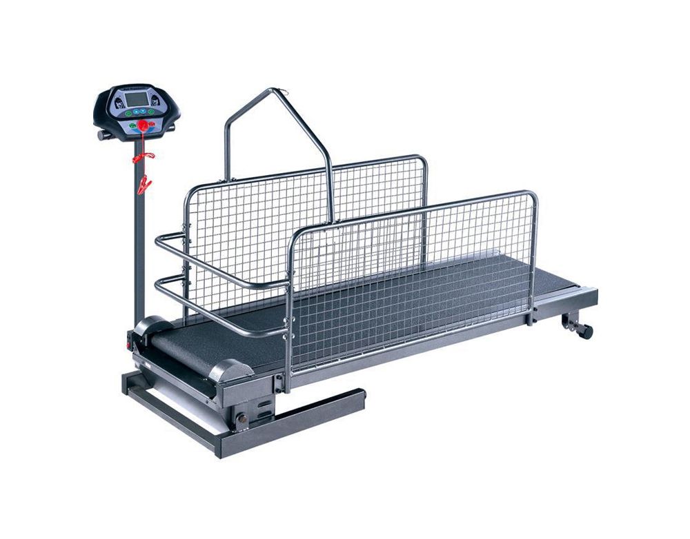 Cinta de correr de perros de mascota