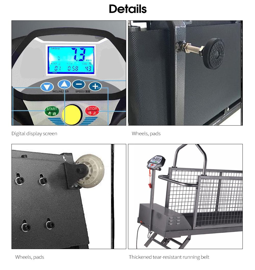 Cinta de correr de perros de mascota