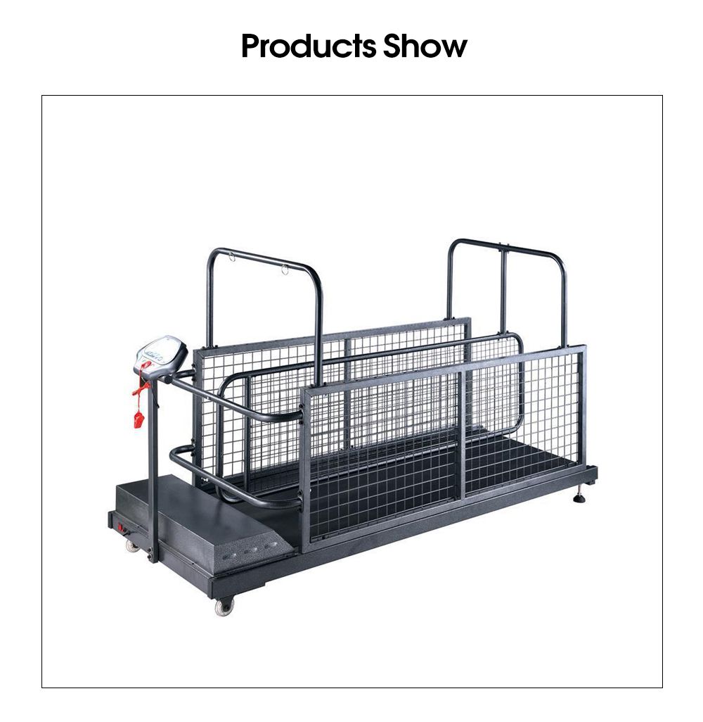 Cinta de correr de perros de mascota