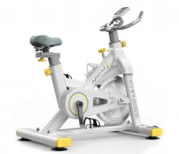 Bicicleta de ejercicio magnético de doble resistencia
