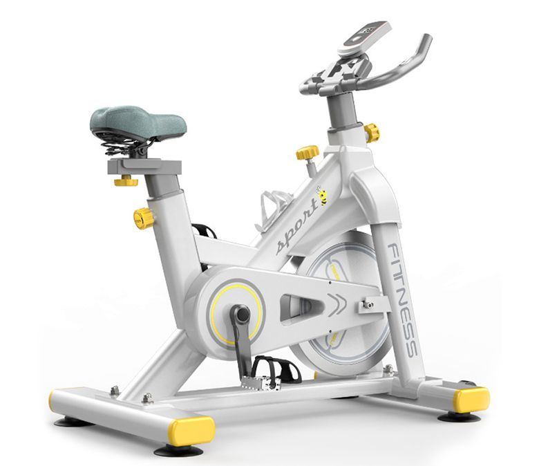 Bicicleta de ejercicio magnético de doble resistencia