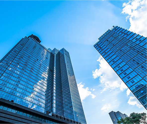 Acerca de la compañía