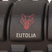 Logotipo y marcas de rodillos de espuma personalizados