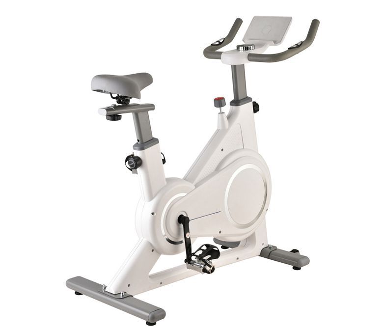 Bicicleta giratoria
