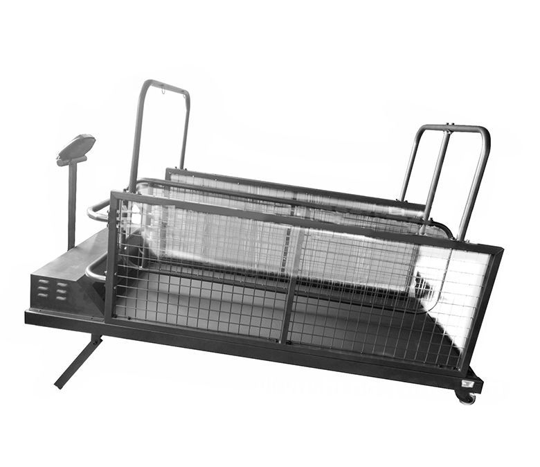 Mejor cinta de correr de la m&aacute;quina para correr perros