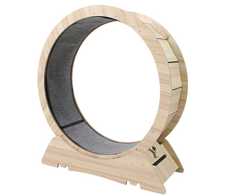 Cinta de correr de la rueda del ejercicio del gato